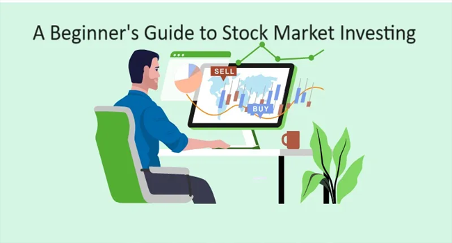 Beginner’s Guide to Stock Market Investing: Building Wealth through Understanding and Strategy