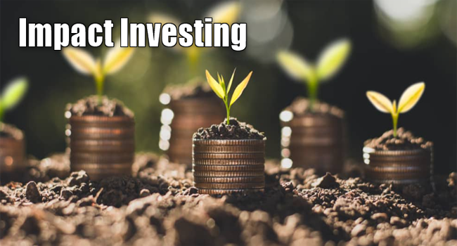 Impact Investing Aligning Profits with Purpose